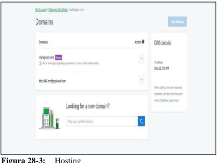 Figura 28-3:  Hosting