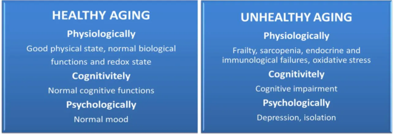 Figure 2. Comparative overview of the common mechanisms of healthy and unhealthy aging