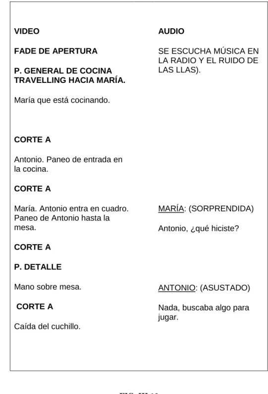 FIG. III.10  Guión Técnico    