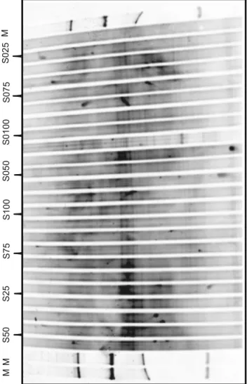 Figura 7 - Perfil das comunidades bacterianas através da técnica de PCR-DGGE, obtidos dos tratamentos estudados (S25, S50, S75, S100 – 16 Mg ha-1 de palha e 25, 50, 75 e 100% da capacidade de retenção de água; S025, S050, S075, S0100 – sem presença de palh