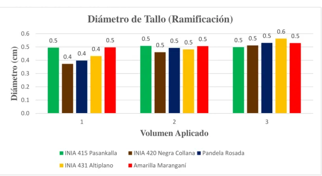 Gráfico 6: Diámetro de tallo (ramificación) en cm. por volúmenes y variedades 