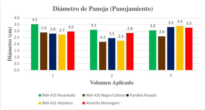 Gráfico 9: Diámetro de panoja (panojamiento) en cm. por volúmenes y variedades 