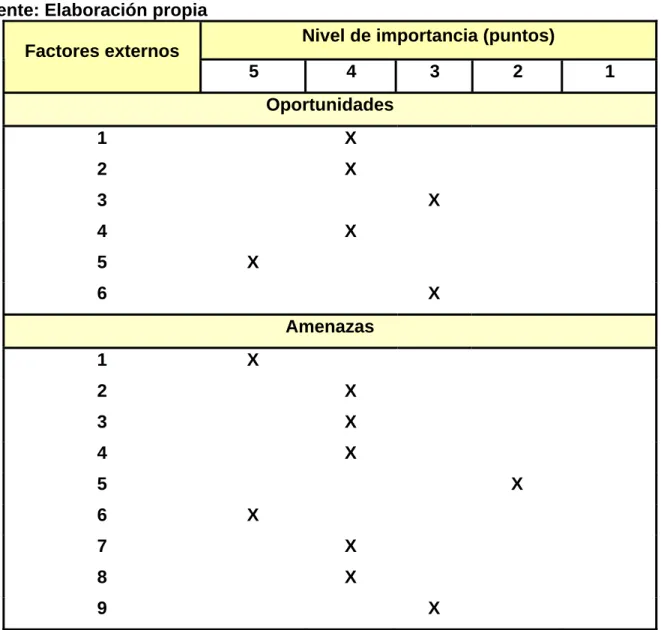 Tabla 6. Evaluación de los factores externos por su nivel de importancia. 