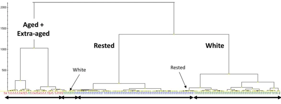 Fig. 5. Dendrogram obtained for the collection of tequilas (see text for more details)