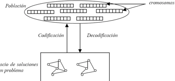 Figura 1.3: Codificación de soluciones en un algoritmo genético. 