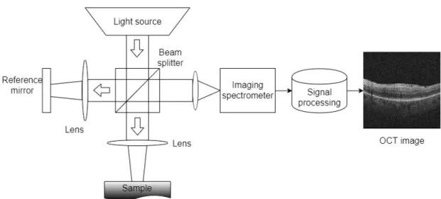 Figure 3. Schema of a basic Spectral Domain OCT (SD-OCT) system.
