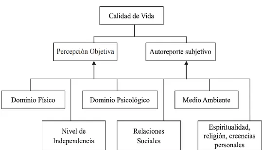 Ilustración 1. Diagrama del modelo conceptual de la OMS  Fuente: Urzúa, A. [31]