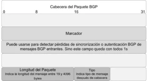 Figura 11-1 Cabecera de BGP 