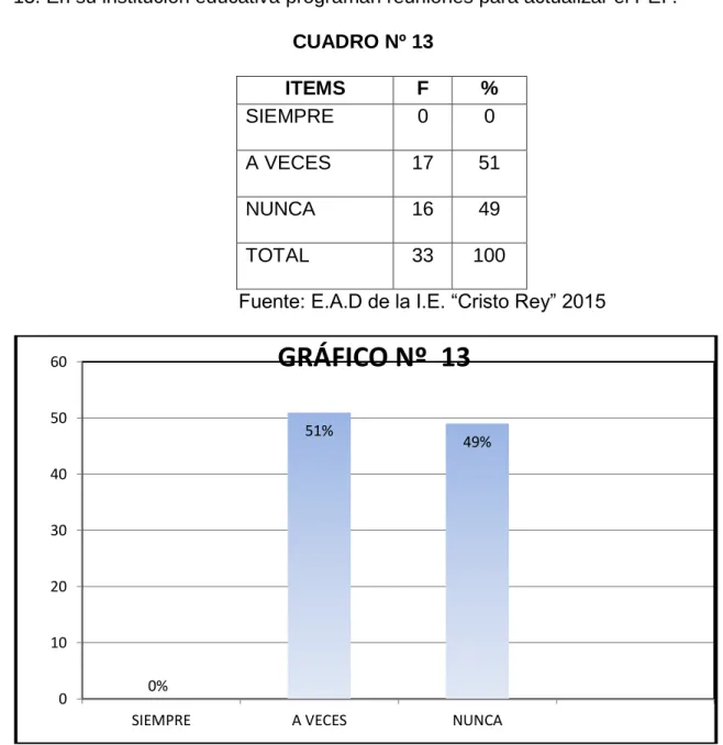 GRÁFICO Nº  13