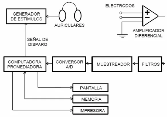 Figura 2. Diagrama de bloques de un sistema de medición de potenciales evocados auditivos