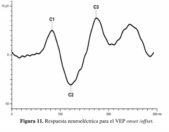 Figura 11. Respuesta neuroeléctrica para el VEP onset /offset. 