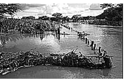 Figura  3:  Leito  do  rio  Pajeú  com  cercas  para  criação de animais.