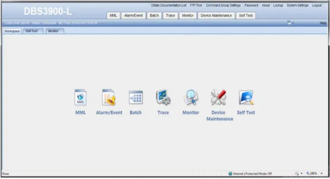 Figura 1.6 Interfaz de la Web LMT. 