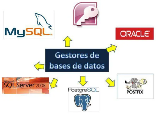 Figura 2-1: Gestor de base de datos. 