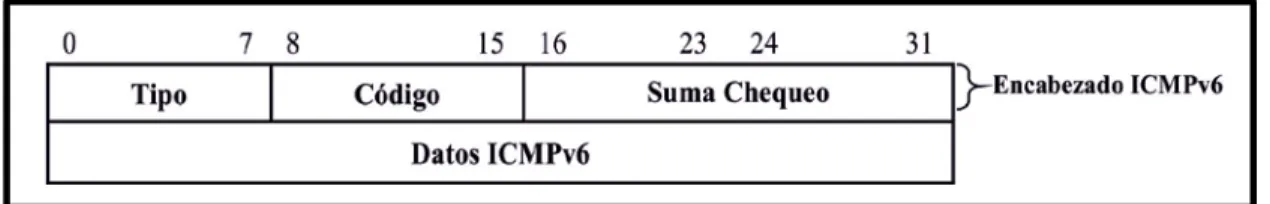 Fig. 1.8 Formato del ICMP versión 2 compatible con la versión 6 de IP. 