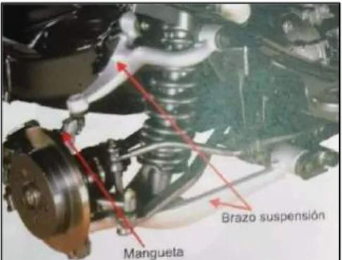 Figura 1-2:      Brazos de suspensión 