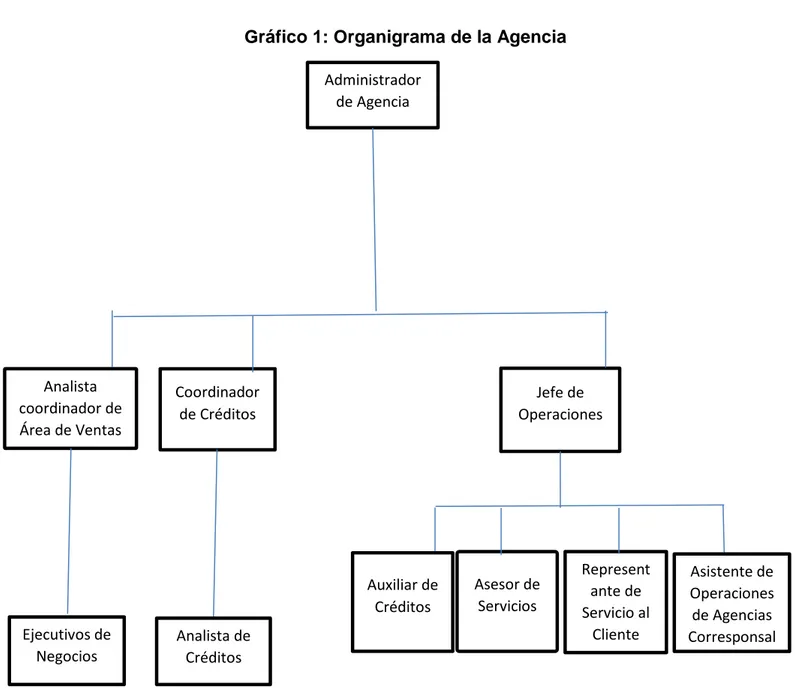 Gráfico 1: Organigrama de la Agencia 