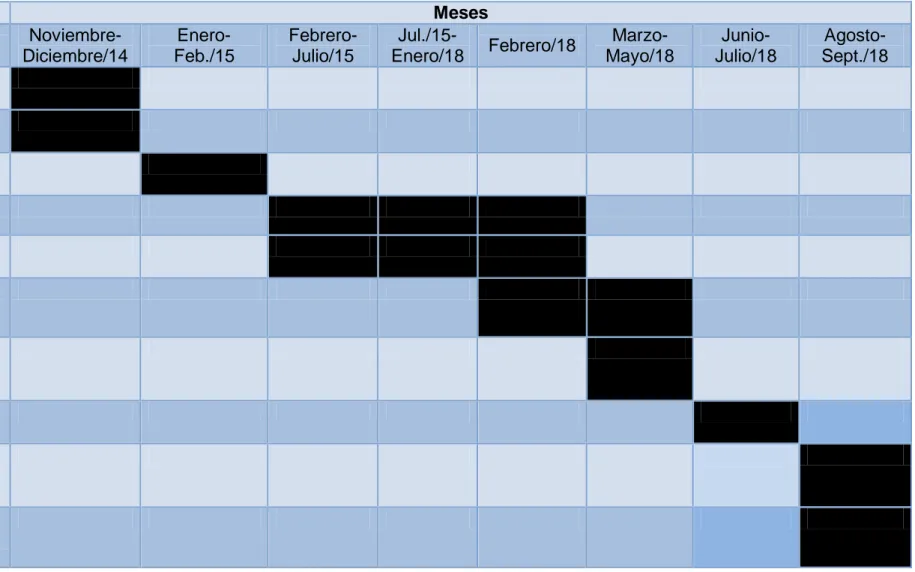 Tabla VI: Programa de actividades