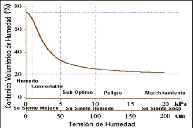 Figura 9-2. Contenido volumétrico por tensión de humedad 