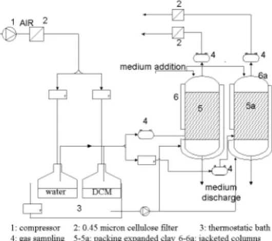 Figure 1. Scheme of the lab-scale biofilter. 