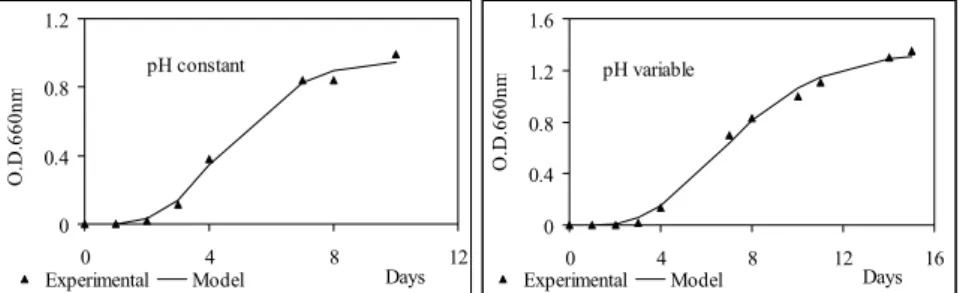 Figure 4. Interpretation of experimental growth data according to the Zwietering model   (O.D