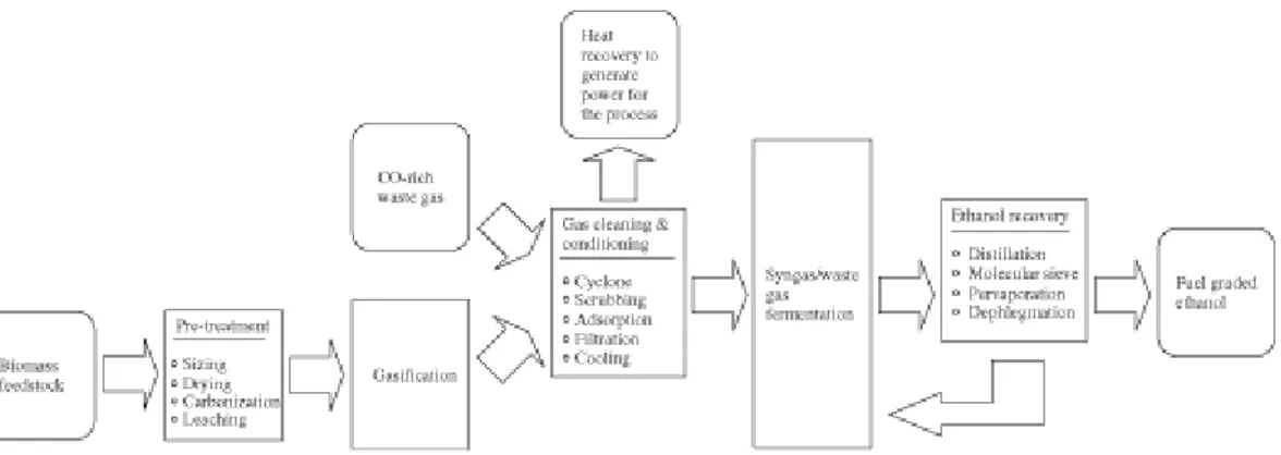 Figure 1. Syngas/CO-rich waste gas bioconversion process overview. 