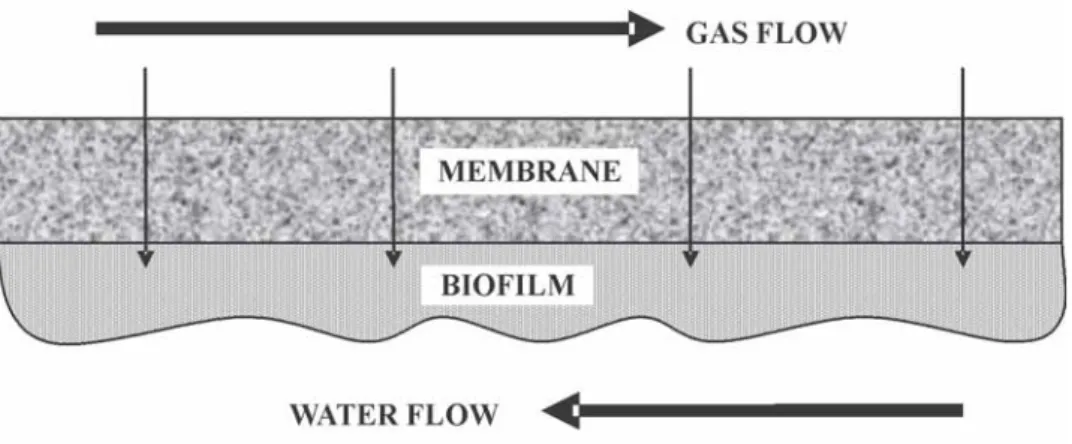 Figure 1. Process flows in a membrane bioreactor.