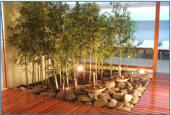 Figura  5 . Jardín Zen. 