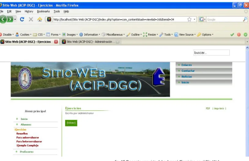 fig. 15 Presenta una vista del submenú Ejercicios en el Sito Web. 