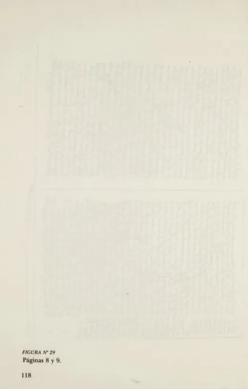 FIGURA  No 29  PaginaS 8  y  9. 