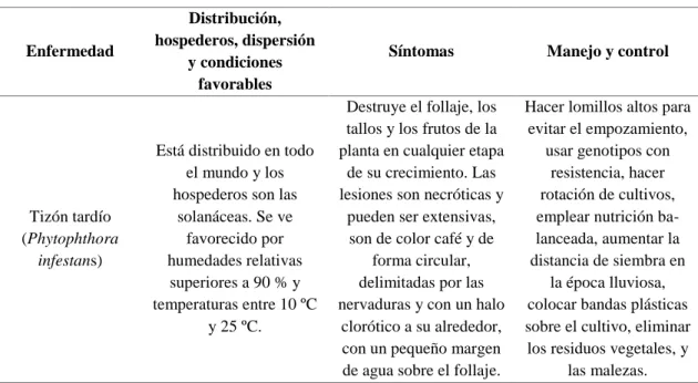 Cuadro 9.  Principales enfermedades que se presentan en el cultivo de tomate. 