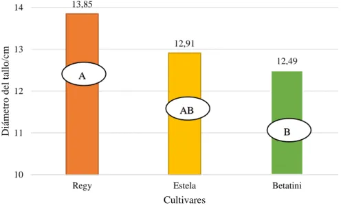 Gráfico 3. Diámetro del tallo a los 120 días después del trasplante para cultivares. 