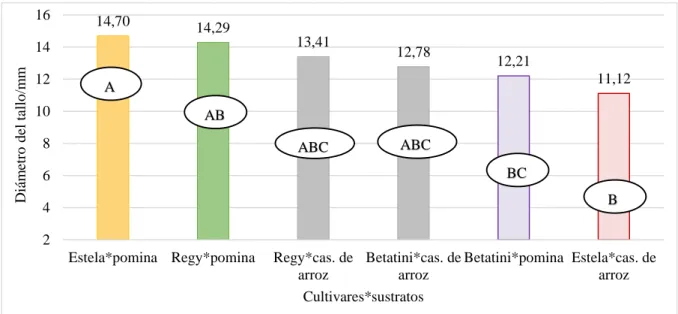 Gráfico 4. Diámetro de la planta a los 120 días después del trasplante para interacciones.