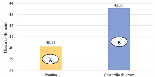 Gráfico 6. Días a la floración para sustratos. 