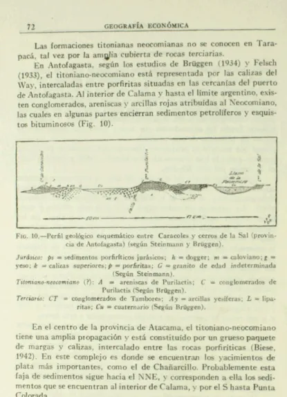FIG.  10.-Per61  geol6gico  e n q u d t i m  entre  Csramlos  y  cengs  de la Sal  (pmvis-  cia de Antofagasta)  (segln Steinmann  y  Briiggen)