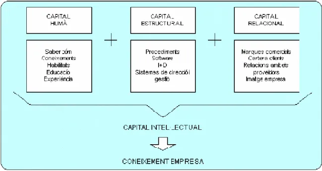 Figura 2.2  Capital intel·lectual