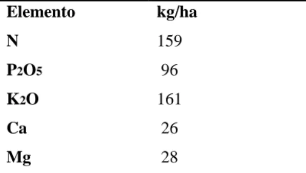 Tabla 3. Requerimientos nutricionales del zucchini 