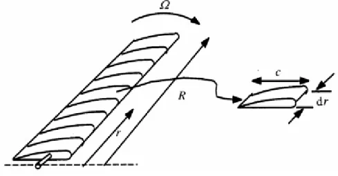 Figura 3. Representación de los diferenciales de pala. 