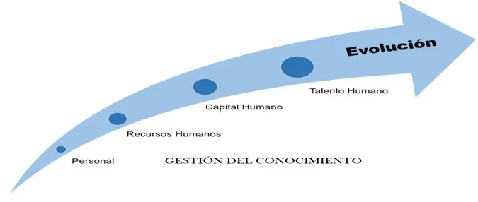 Figura 1.2 Evolución de los recursos humanos. Fuente: Elaboración propia 