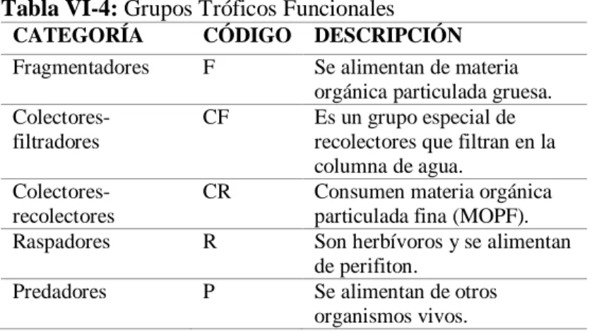 Tabla VI-4: Grupos Tróficos Funcionales  CATEGORÍA  CÓDIGO  DESCRIPCIÓN  Fragmentadores   F  Se alimentan de materia 