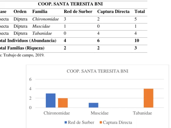 Tabla VII-16: Lista de familias de macroinvertebrados registradas en el bofedal Coop. Santa Teresita  BNI