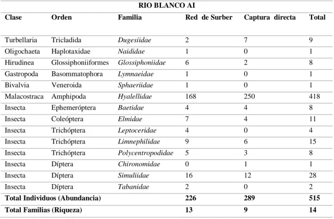 Tabla VII-18: Lista de familias de macroinvertebrados registradas en el bofedal Río Blanco AI