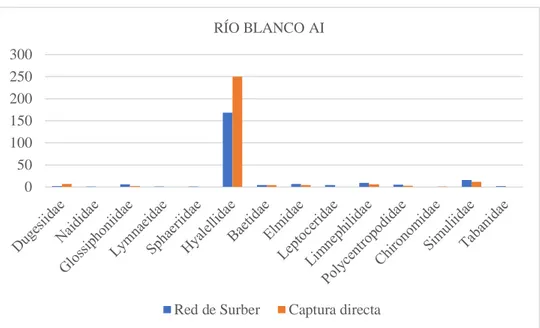 Figura VII-6: Relación riqueza y abundancia en el bofedal Río Blanco AI. 