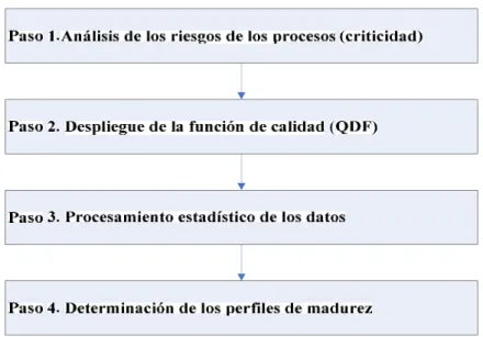 Figura 2.4: Procedimiento específico para determinación de los perfiles de madurez de los  procesos.