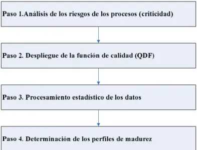 Figura  2.4:  Procedimiento  específico  para  determinación  de  los  perfiles  de  madurez  de  los  procesos. 