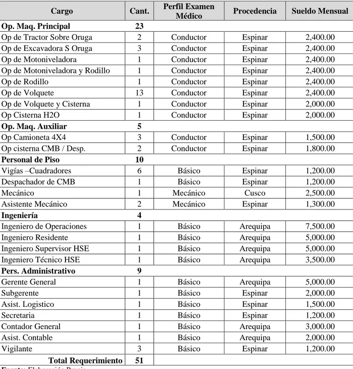 Cuadro N° 9: REQUERIMIENTO DE PERSONAL 