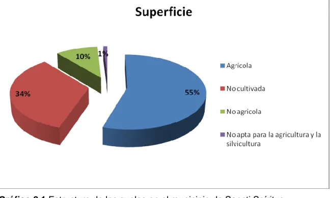 Gráfico 2.1 Estructura de los suelos en el municipio de Sancti Spíritus. 