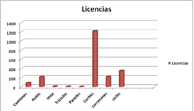 Gráfico 2.4 Licencias entregadas para la operación de transporte. 