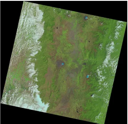 Figura 2. Imagen base Landsat 8. Fuente: (USGS, 2018)  b.  Elaboración de Cartografía Base 
