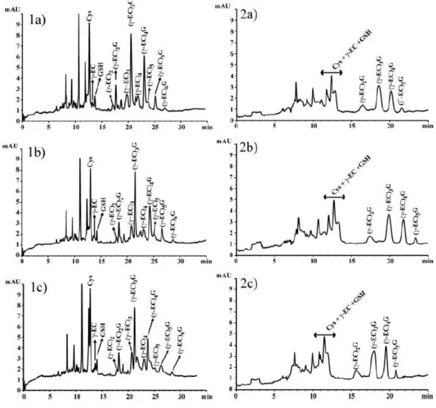 Figure  2.  Separation  of  thiol  peptides  using  (1)  phosphate  buffer  and  (2)  citrate  buffer  as  background electrolyte, both at pH 1.60, at different concentrations: (a) 150 m M ; (b) 170 m M ; (c)  200 m M 